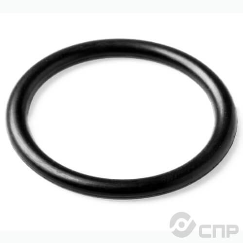 Производство уплотнительных колец в Сургуте